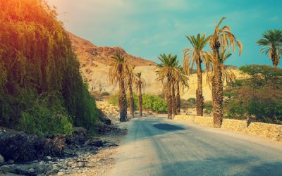 The Secrets Of Self-Hypnosis Intro: Adam Eason’s Life On A Kibbutz, Aged 19