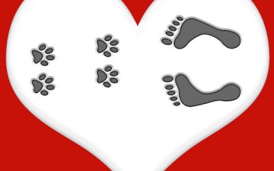 Metaphorically Enhancing Your Relationship