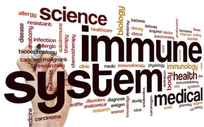 Effects of self-hypnosis on immune functioning: The evidence