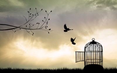 Freedom, Being Alive & The Real Reason I Decided To Write a Book