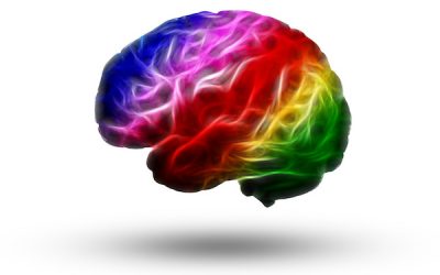 Why Are Most Hypnotherapists Unaware of The Stroop Effect and It’s Importance To The Field of Hypnosis?