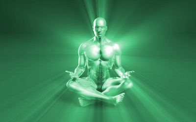 Why All Hypnotherapists Need To Know What “Shoshin” Is