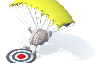 Back In The Office, Here’s What I’ve Been Up To