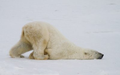 A Media Attempt To Cause A Controversy Where It Does Not Exist, and The Virtue of Boredom