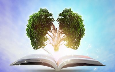 9 Ways to Boost Your Memory