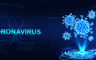 Coronavirus: False Claims, Theories and Conjecture