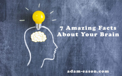 7 Amazing Facts About Your Brain