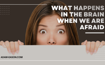 What Happens In The Brain When We Are Afraid