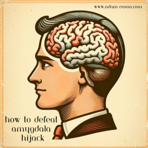 Amygdala Hijack
